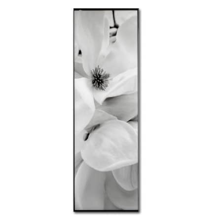 Trademark Fine Art Alan Blaustein 'Magnolia I' Canvas Art, 6x19 ALI5082-C619GG